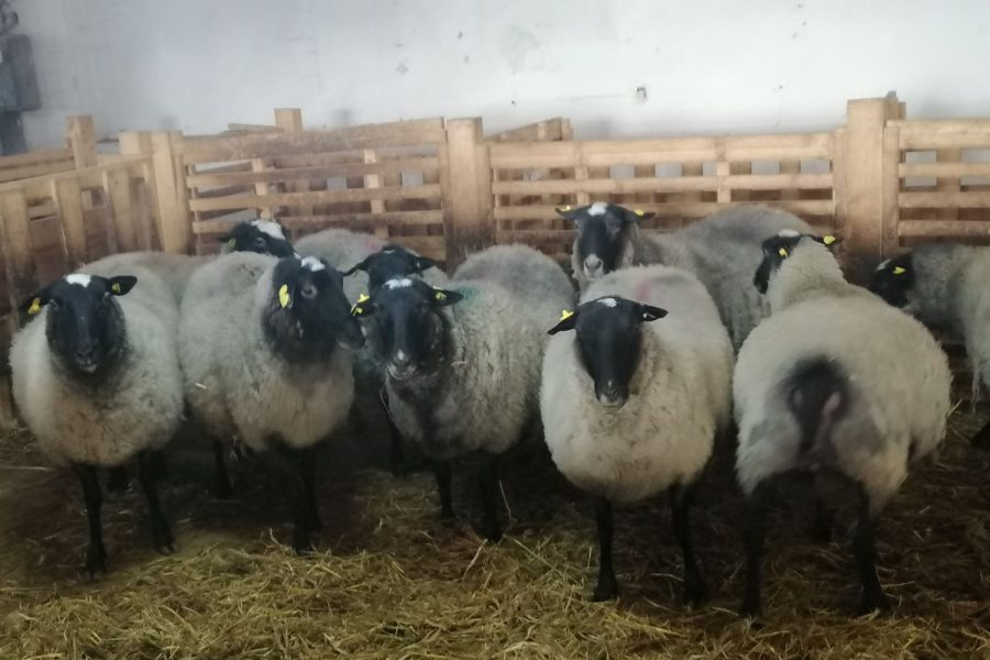 WhatsApp Image 2026-01-24 at 14.42.56 (1)