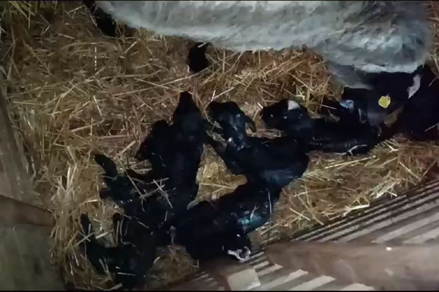 WhatsApp Image 2026-01-24 at 14.42.56