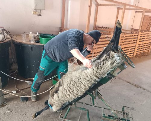 WhatsApp Image 2026-01-26 at 09.43.47