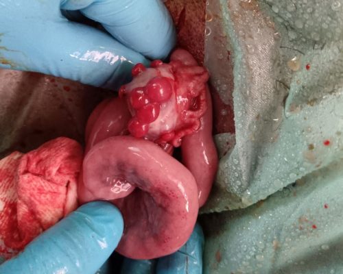 WhatsApp Image 2026-01-26 at 09.44.11