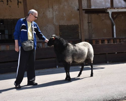 WhatsApp Image 2026-01-28 at 13.41.44 (6)