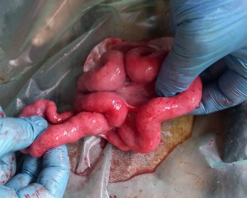 WhatsApp Image 2026-01-28 at 15.27.55 (2)