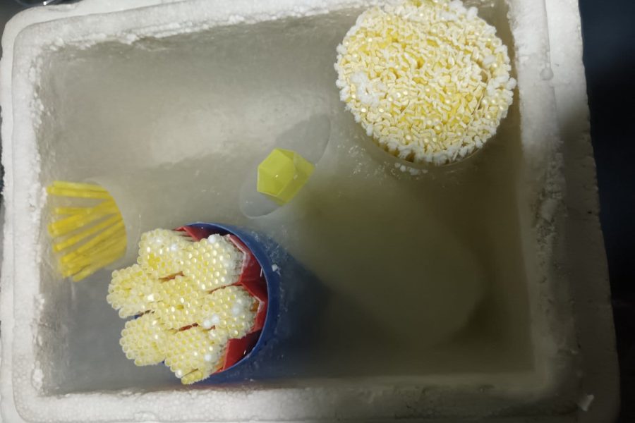 WhatsApp Image 2026-01-30 at 10.13.48