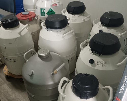 WhatsApp Image 2026-01-30 at 10.14.00